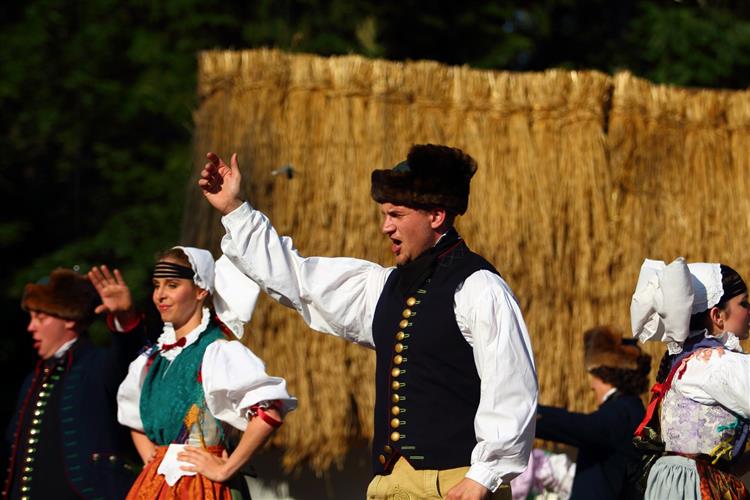 Folklorní festival Strážnice 2014