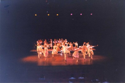 Mladina 1985-1994