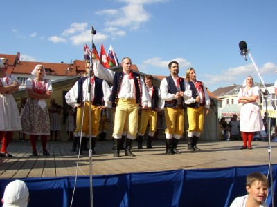 Mladina 1995-2004