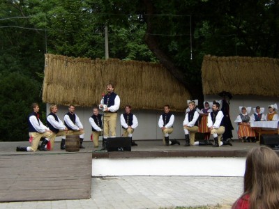 Mladina 1995-2004