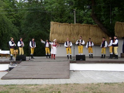Mladina 1995-2004