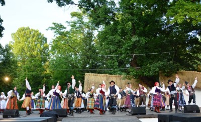Mladina 2005-2014