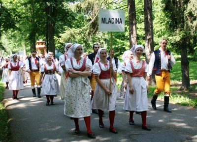 Mladina 2005-2014
