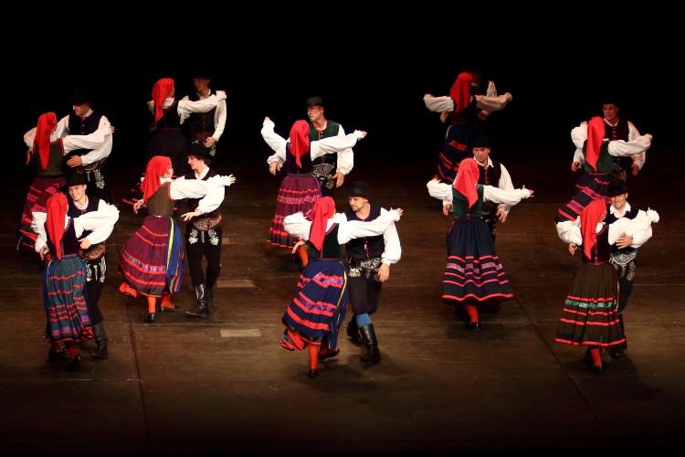 Škola českého tance